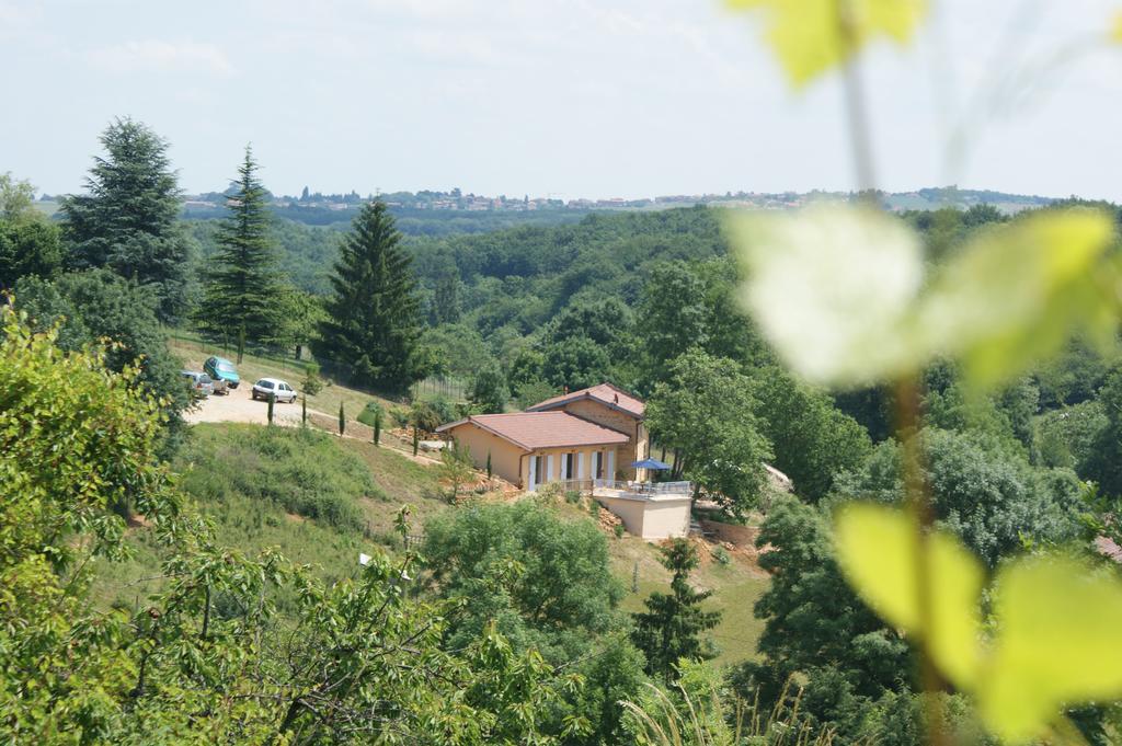 Maison D'Hotes Du Vert Vallon Bed & Breakfast Theize Bagian luar foto